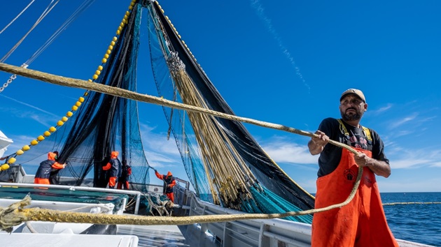 Fisheries program revisions