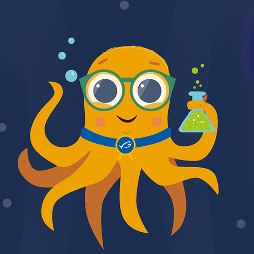 Activities for younger children (under 8 years old)