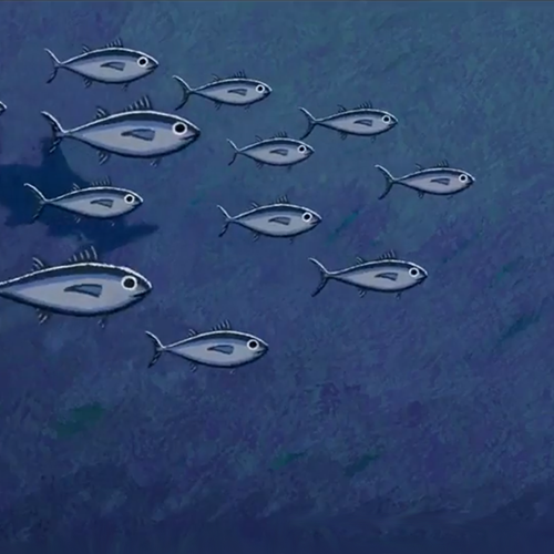 Learning resources for 10-15-year-olds