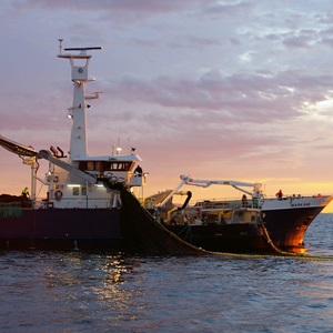New hope for fisheries - published in the journal 'Science'