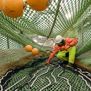 What is bycatch and how can it be managed