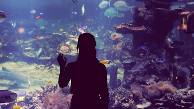 Students now have their own page of resources for student research projects