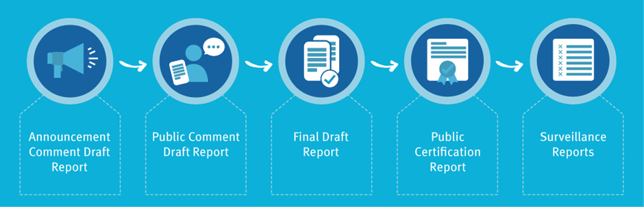 MSC assessment timeline