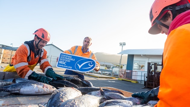 Beyond the catch: The untold story of Kiwi fishers
