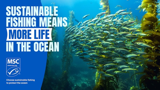 World Ocean Day Kahoot!