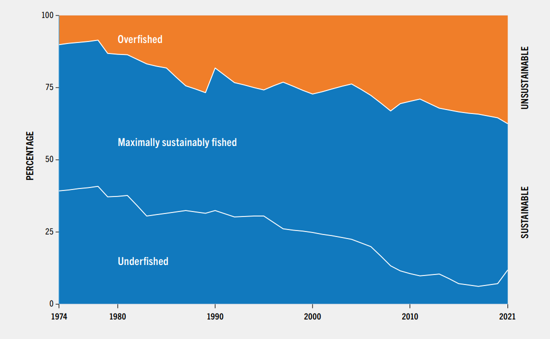 What Is Overfishing | Marine Stewardship Council