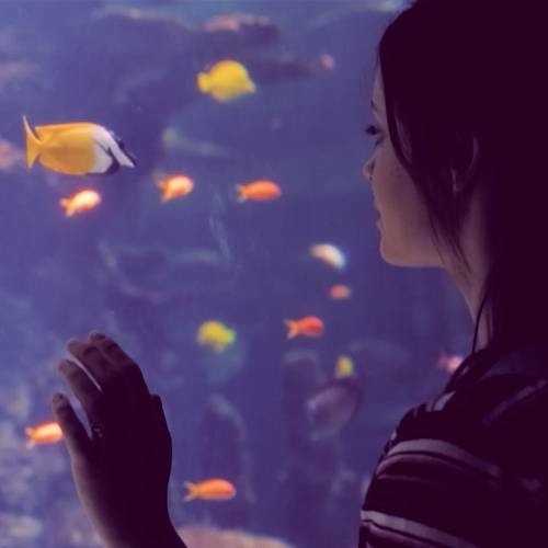 Term 4 Ocean Classrooms