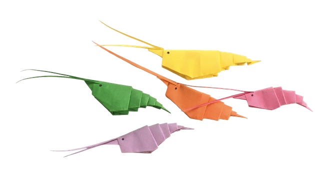 Prawn Origami