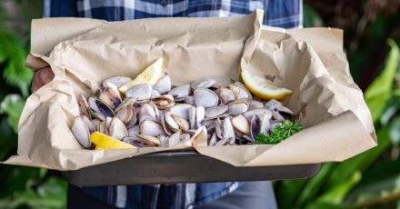 South Australian pipis - Step 4