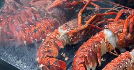 Wild barbecued rock lobster - Step 4