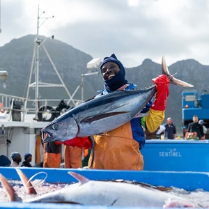 MSC Improvement Program aims to accelerate sustainable fishing practices