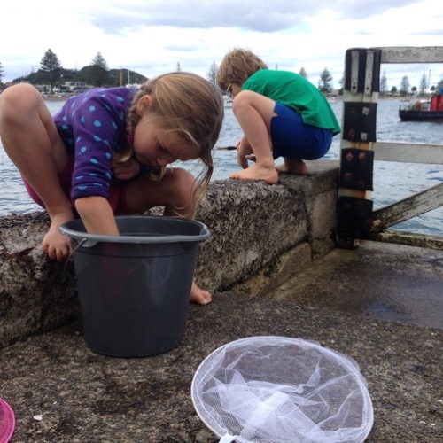 Local Fish Field Trip
