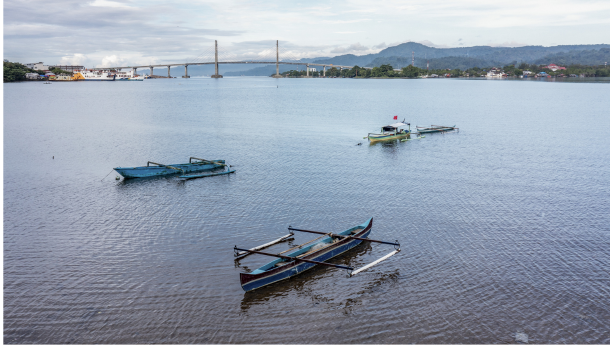 Transformation Bleue