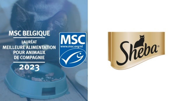 Meilleure alimentation pour animaux de compagnie