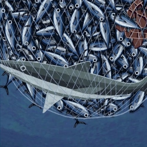 Fishing & Protecting the Marine Environment