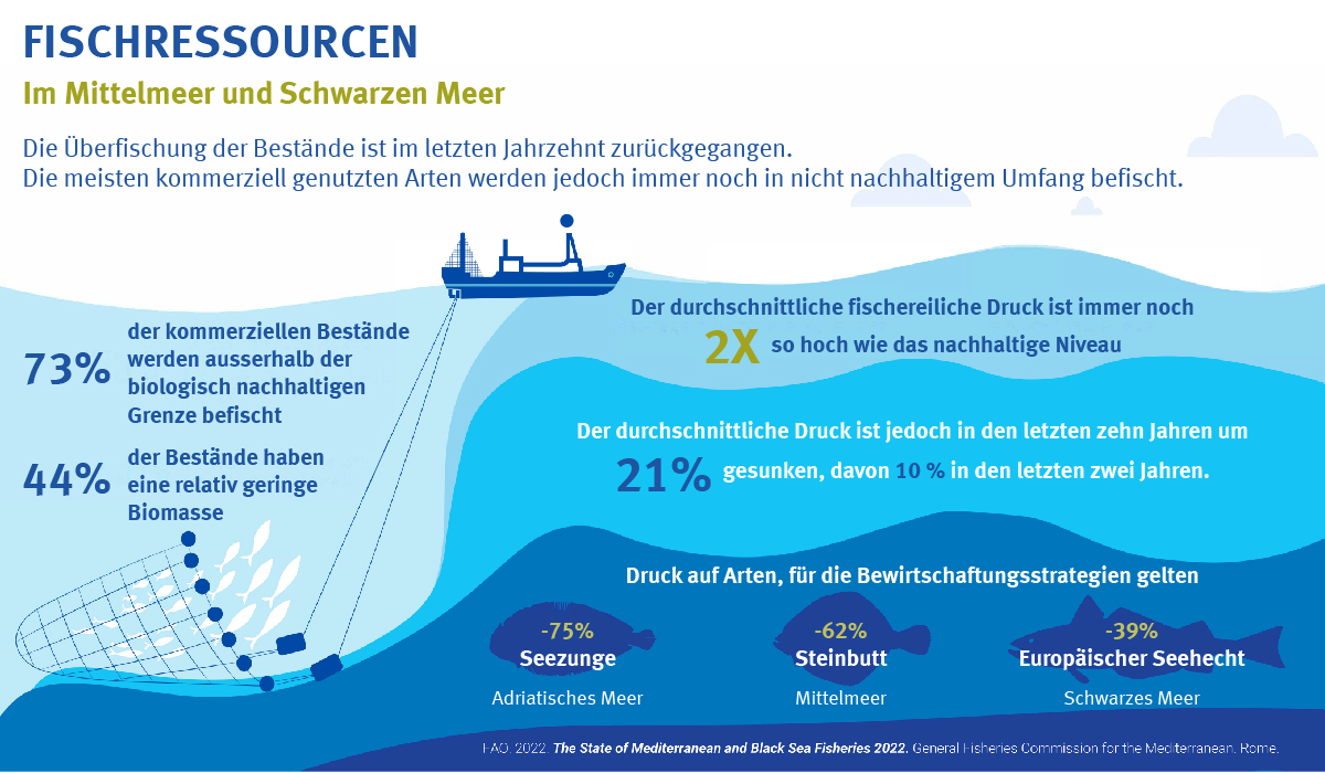 Überfischung im Mittelmeer