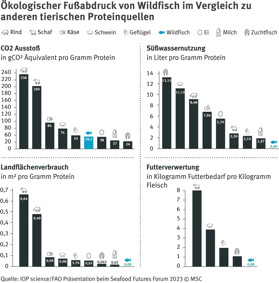 Ökologischer Fussabdruck Fisch