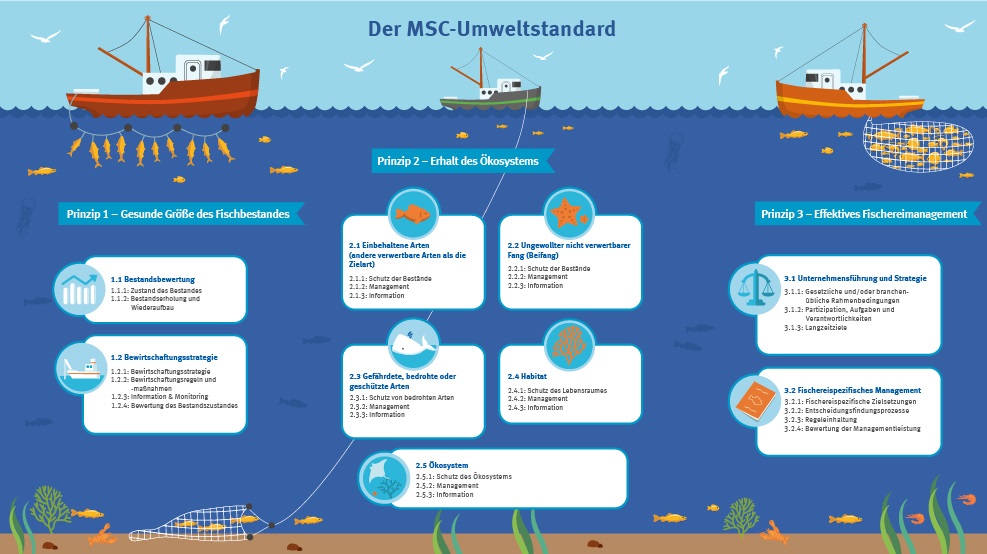MSC_Prinzipien_und_Indikatoren