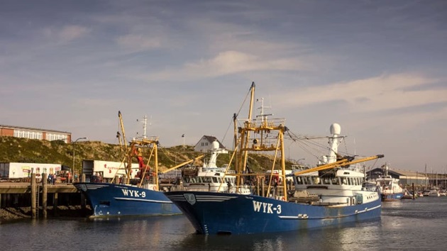 Zustand der weltweiten Fischbestände
