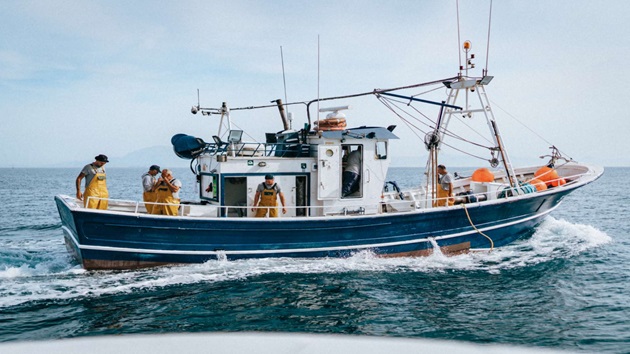 Estado de las Pesquerías. España 2025 Avances, hitos y casos de estudio