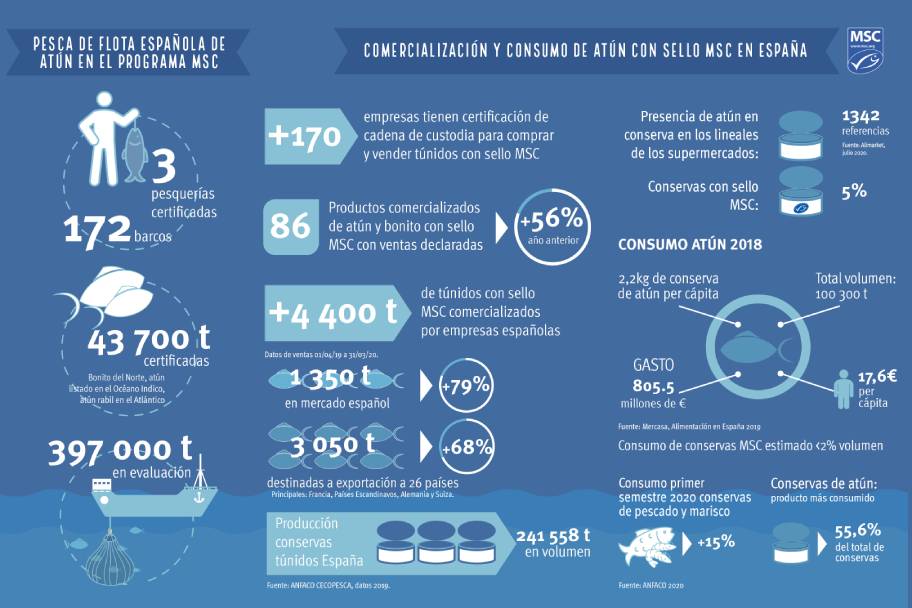 Infografia_MSC_10nov