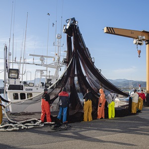 Pescadores responsables, pescadores de futuro