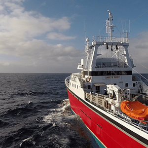 MSC Australia And New Zealand | Marine Stewardship Council