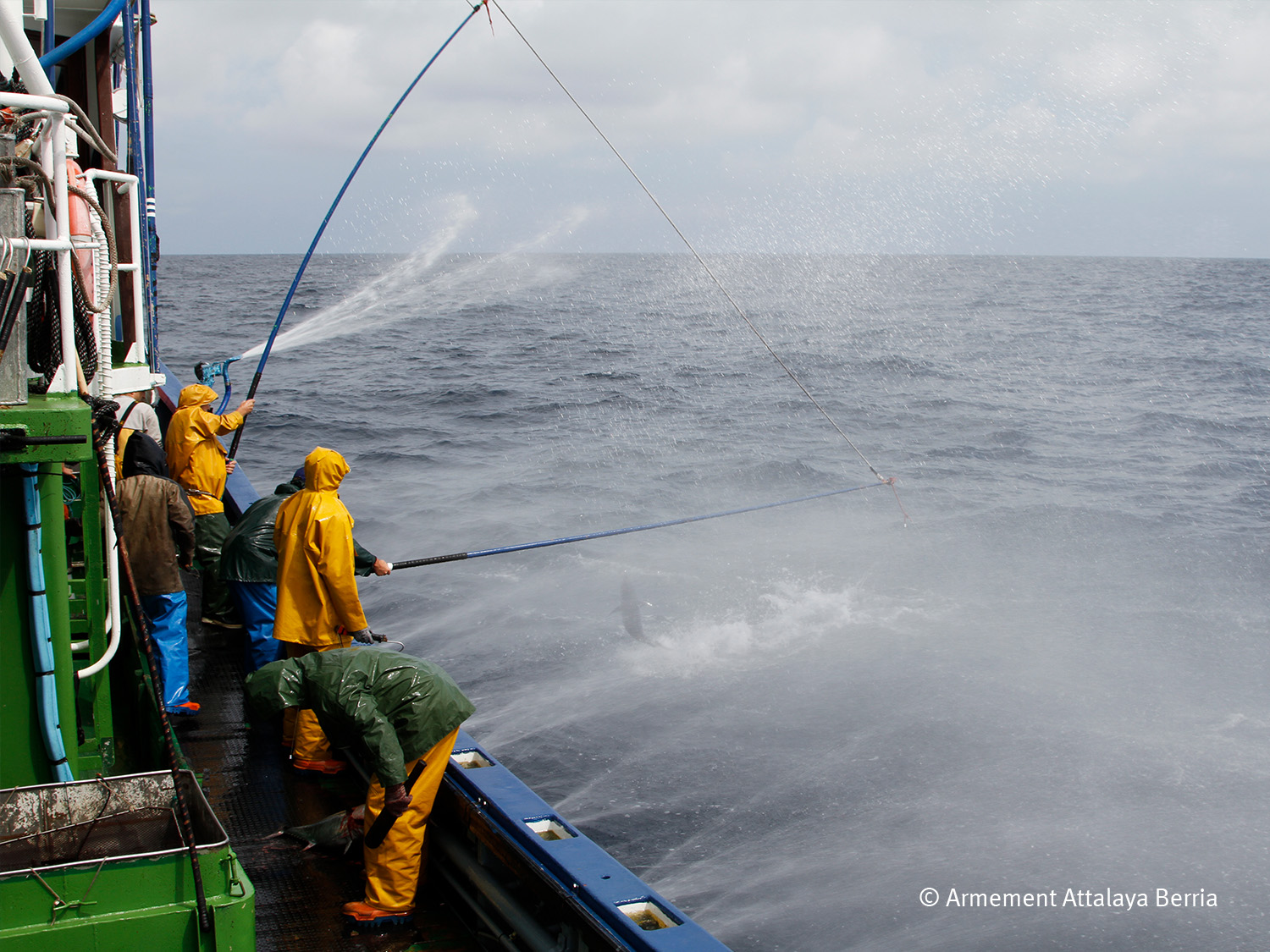 pêcheurs de thon à la canne