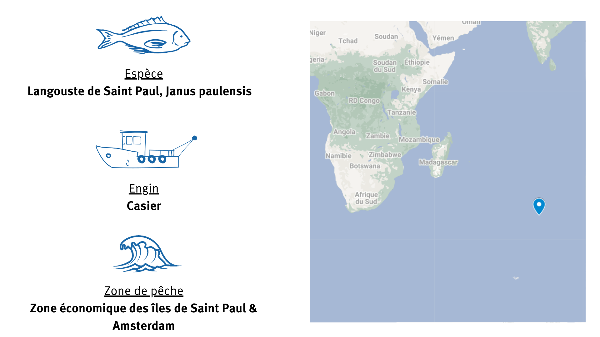 fiche d'identité de la pêcherie de langouste