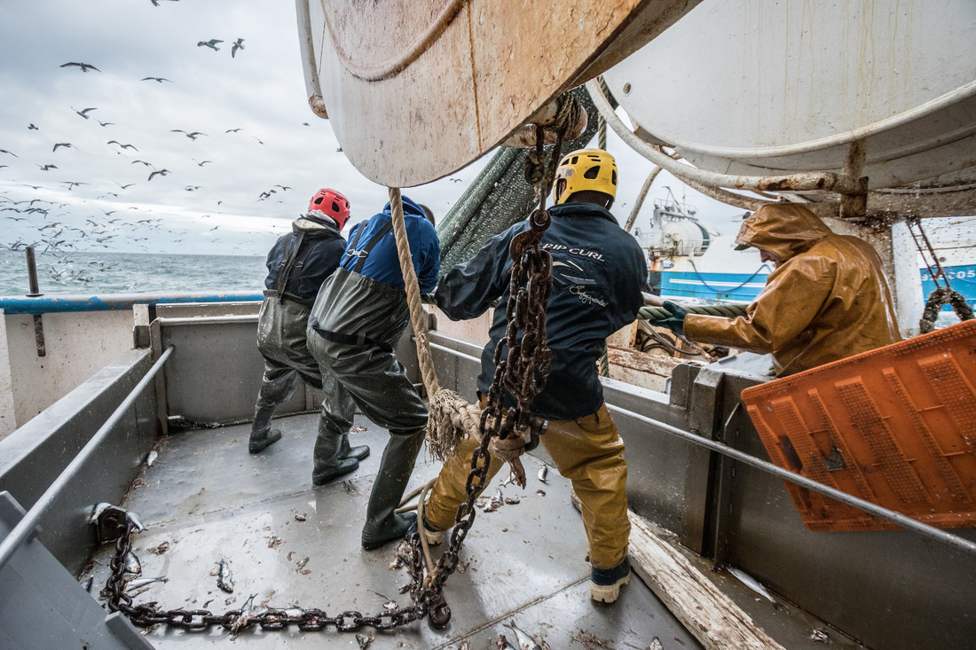 pêcheurs ramenant leur filet