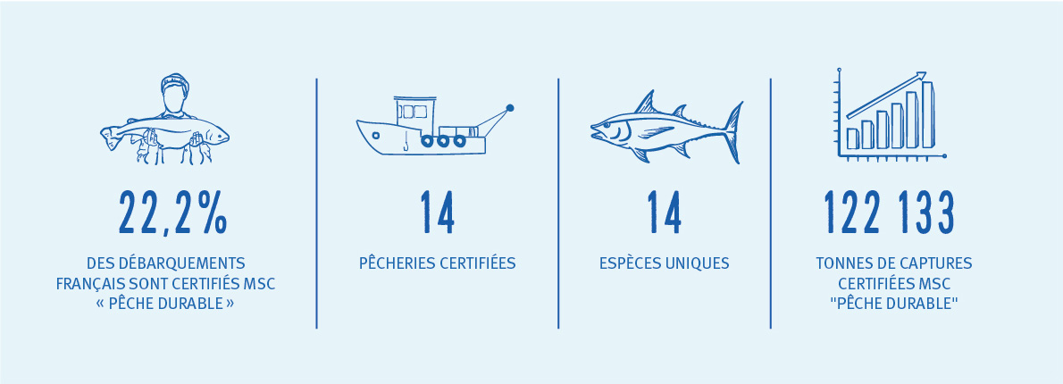 chiffres clés 15 ans de pêche durable en France