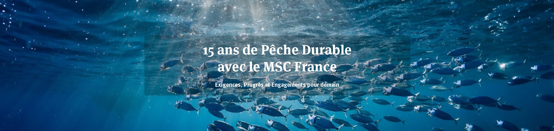 header 15 ans de pêche durable avec le MSC France