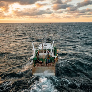 Rapport : 15 ans de pêche durable avec le MSC France