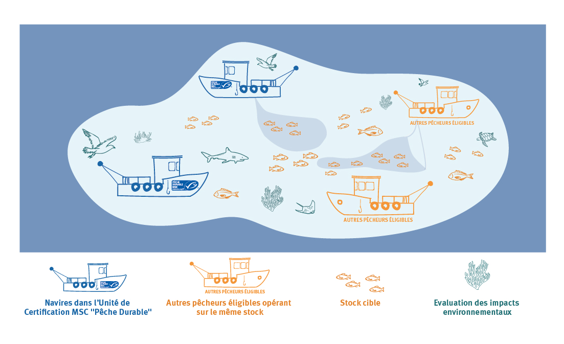 Qu'est-ce qu'une pêcherie MSC