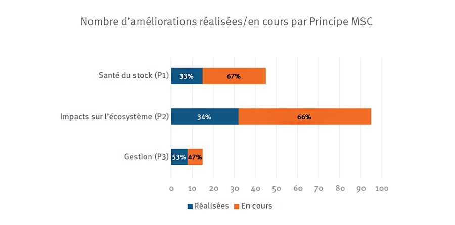 Schéma nombre améliorations ouvertes résolues par Principe