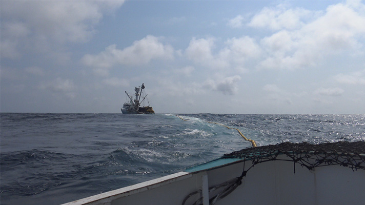 Les pêcheurs de la pêcherie Orthongel rangent la senne