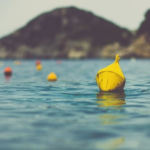 Rapports et évaluation