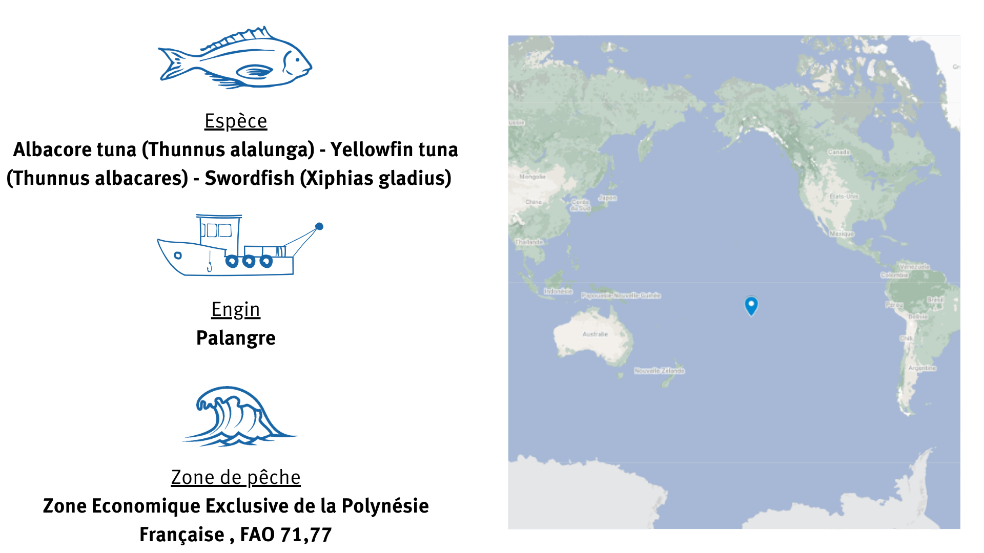 Fiche d'identité pêcherie de thon germon et d'albacore et d'espadon en Polynésie Française