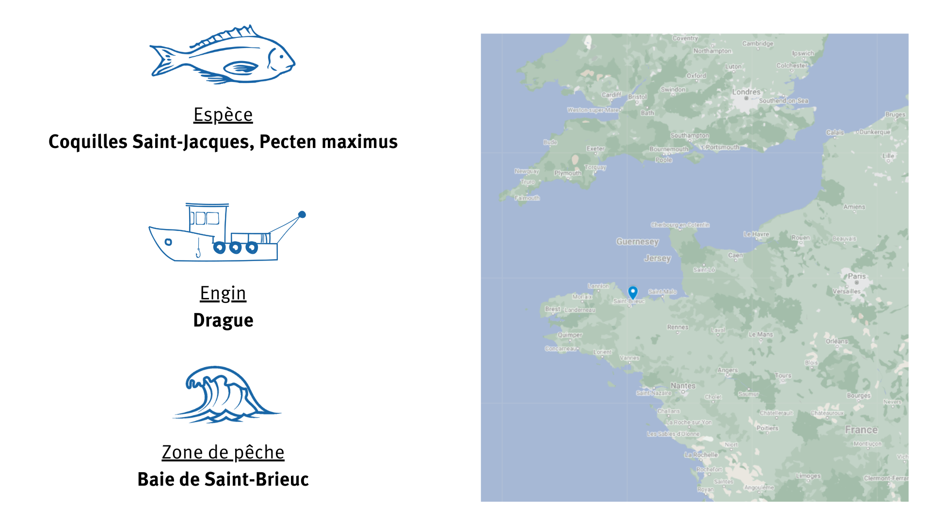 Fiche d'identité Pêcherie de coquilles Saint-Jacques à la drague de la baie de Saint-Brieuc