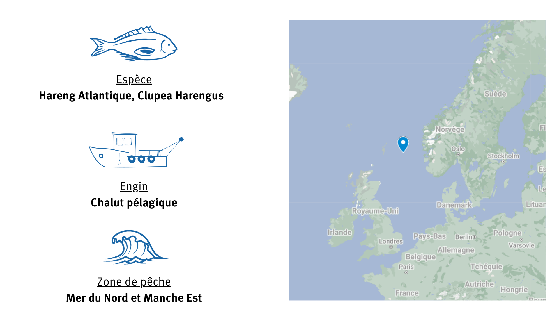 carte de la pêcherie de hareng de Manche Est et de Mer du Nord