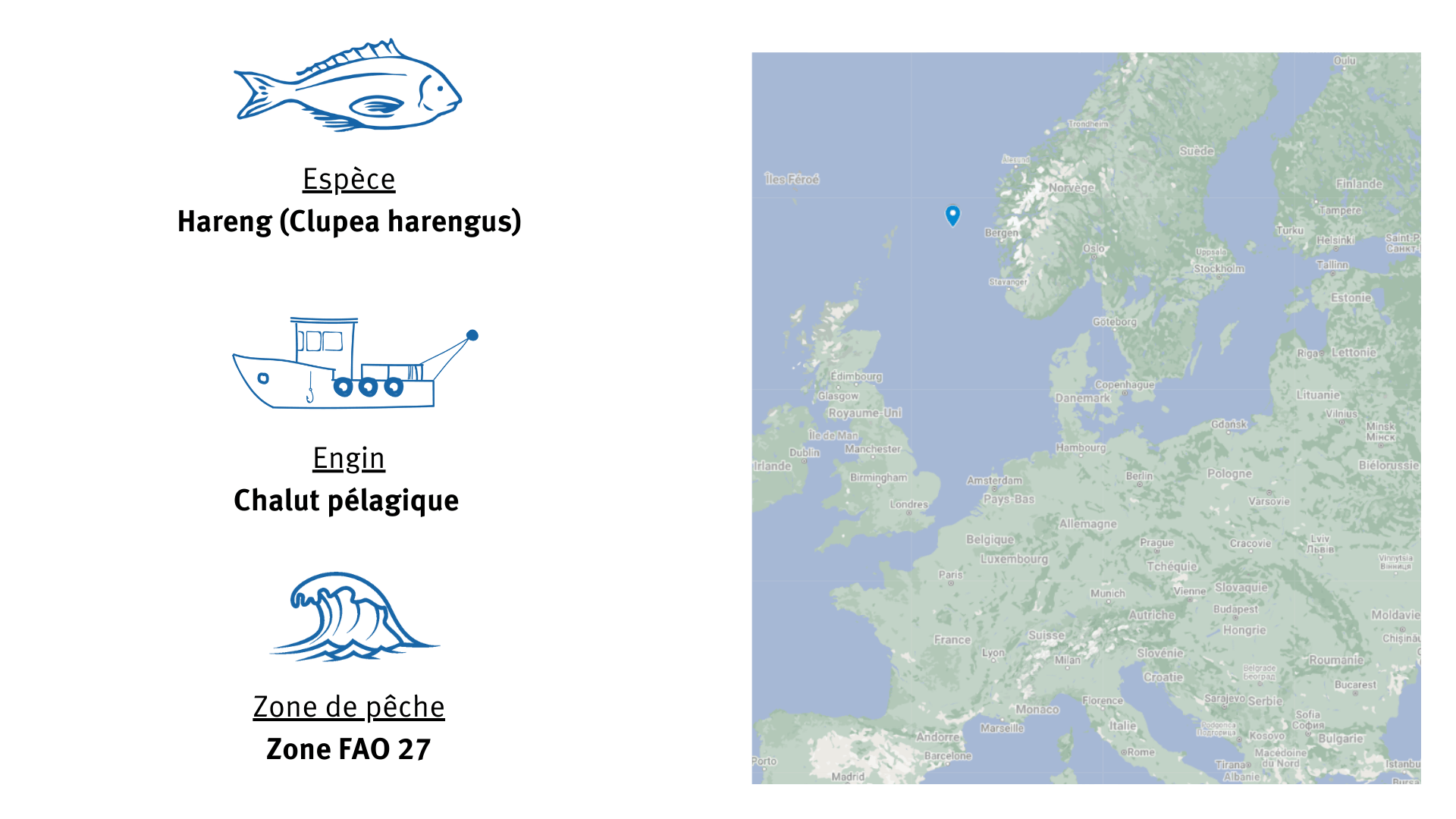 Fiche d'identité Pêcherie de hareng de Mer du Nord