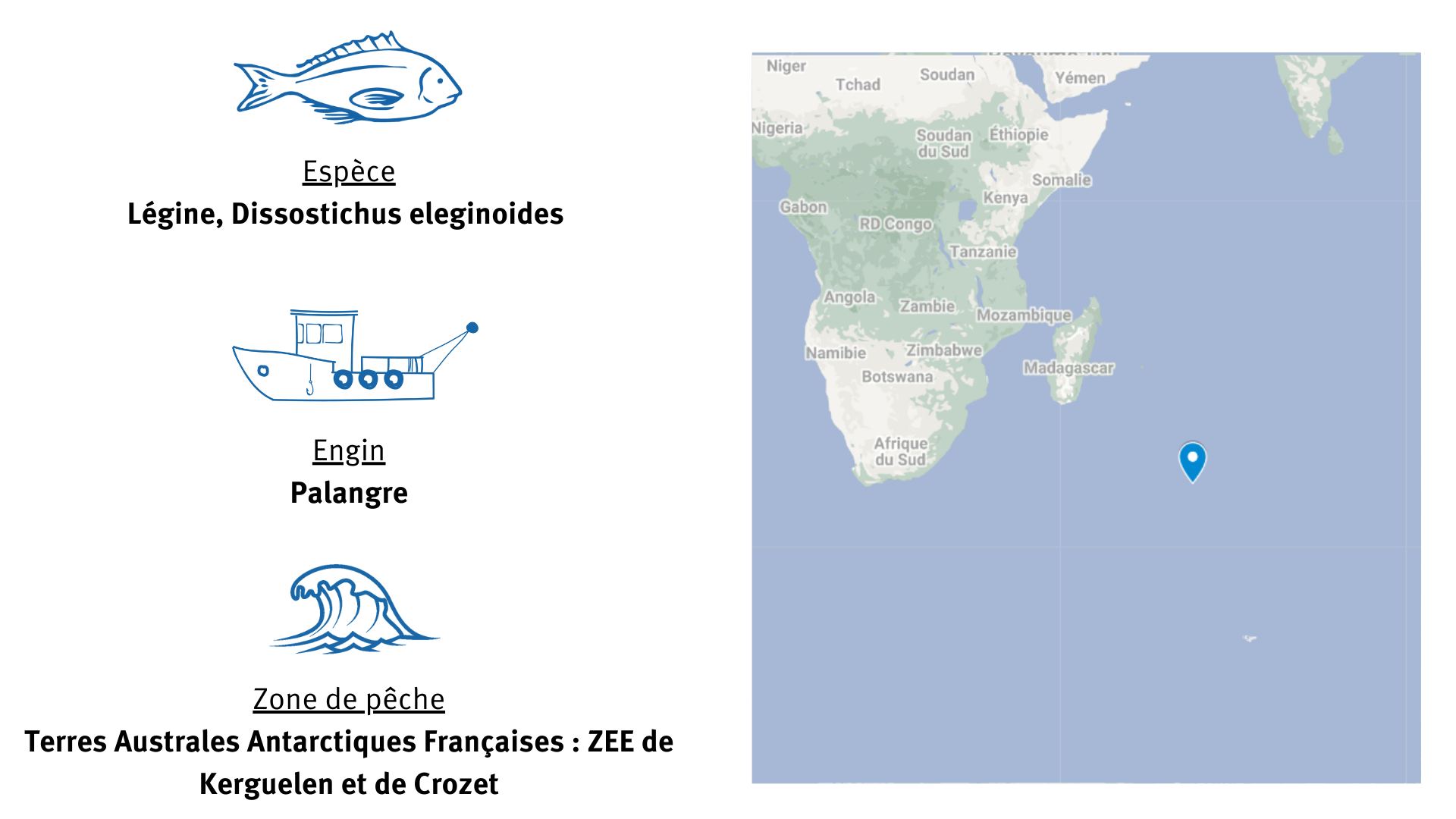 fiche espèce de la pêcherie de légine de Kerguelen et de Crozet dans les TAAF