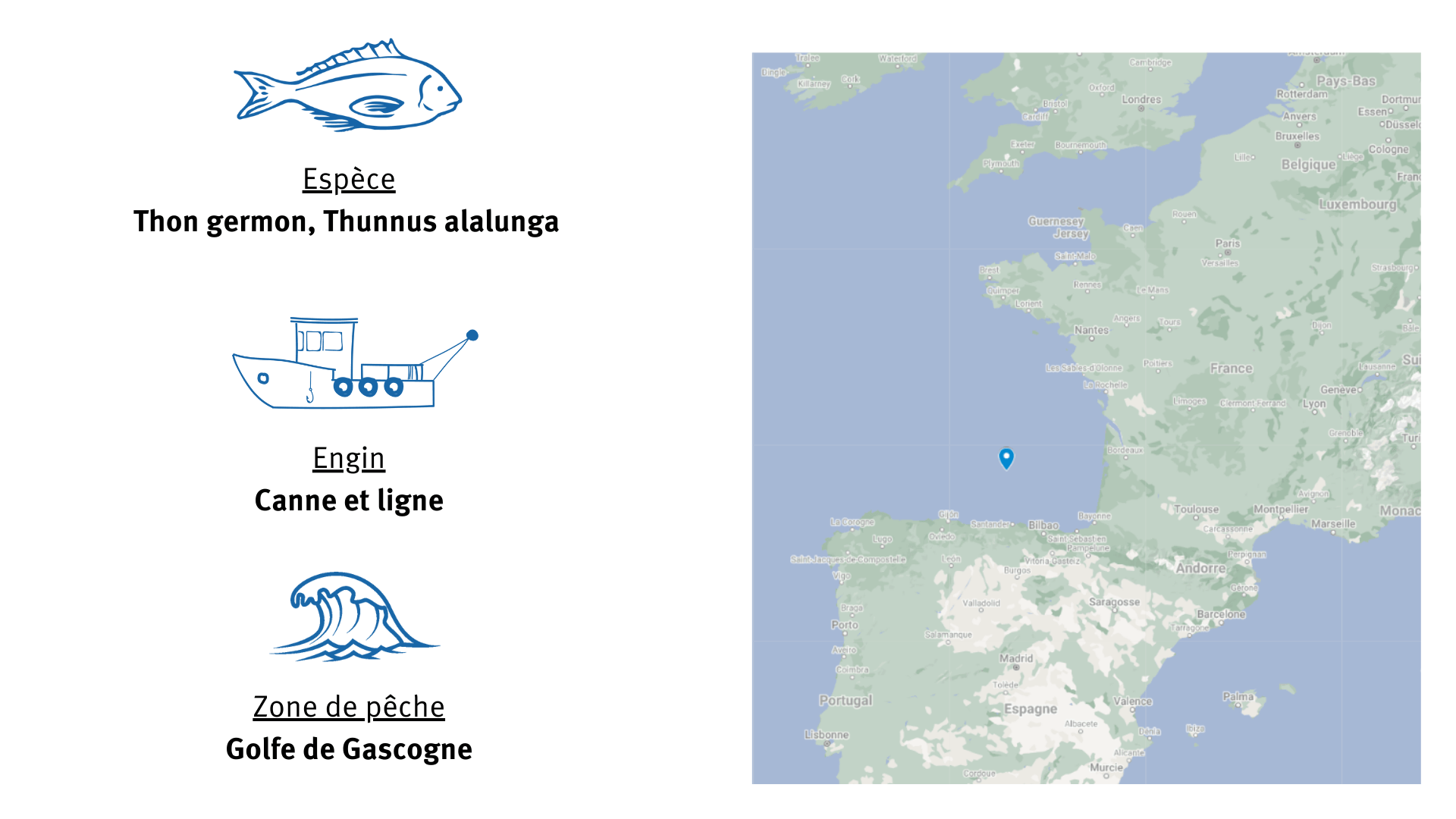 fiche d'identité Pêcherie de thon germon en Aquitaine