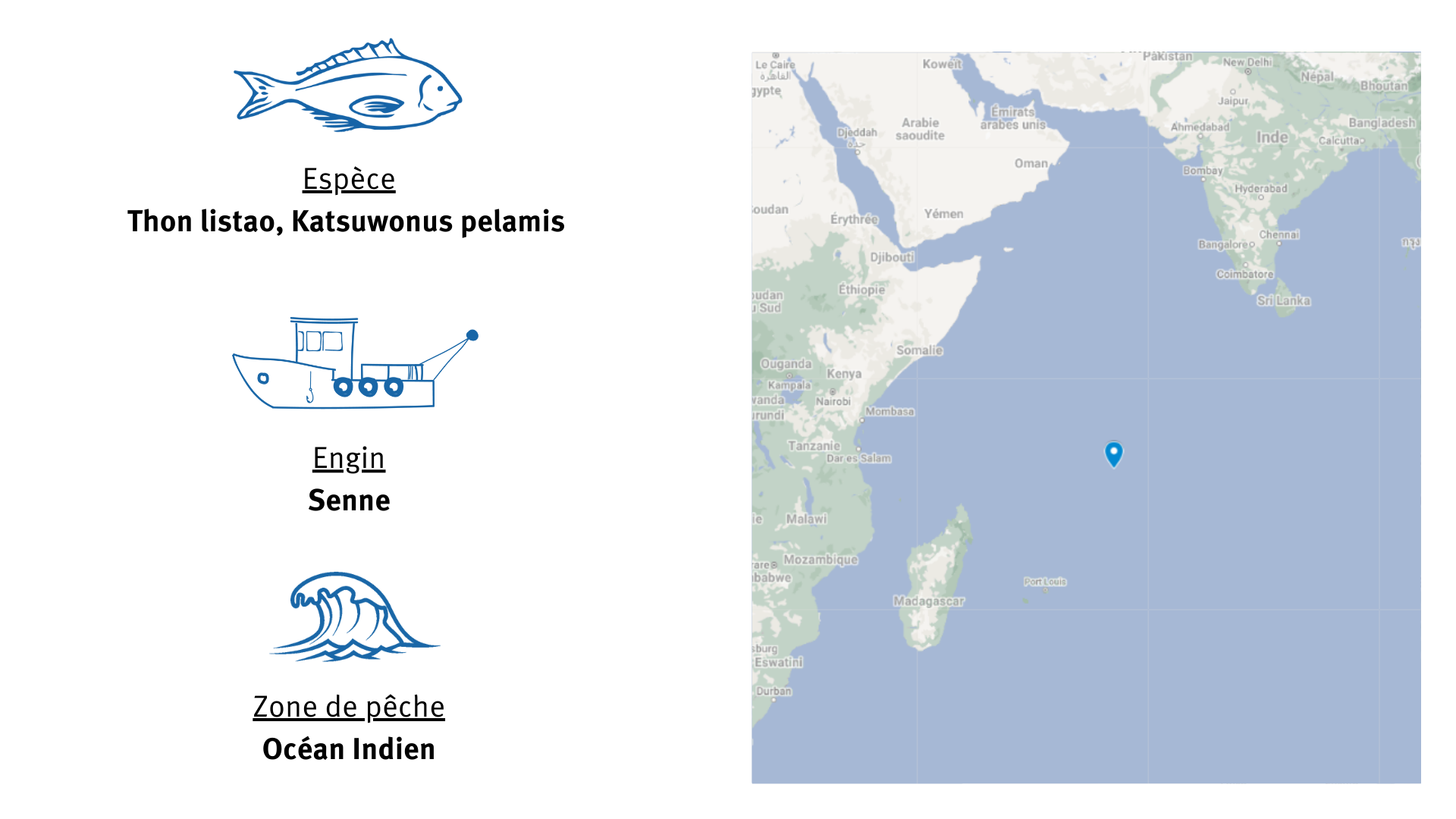 Fiche d'identité Pêcherie de thon listao en Océan Indien