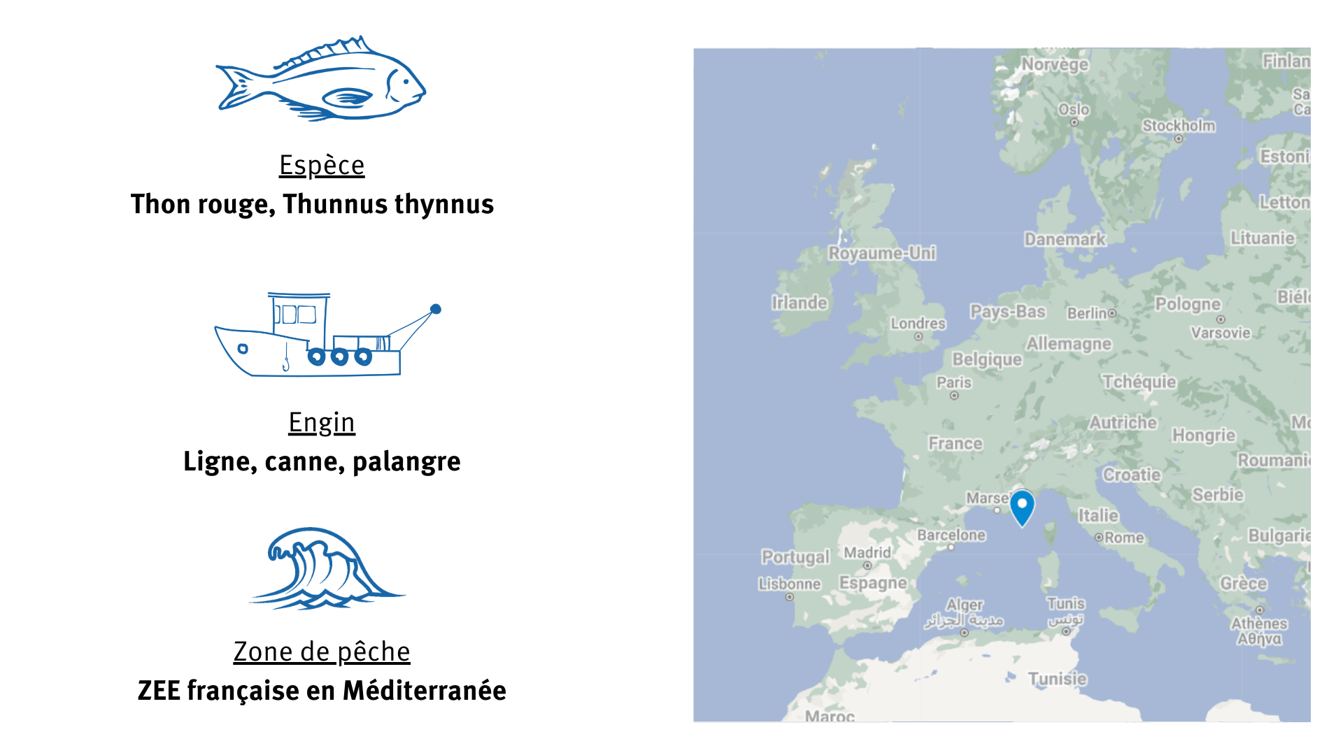 Fiche d'identité de la pêcherie de thon rouge en Méditerranée