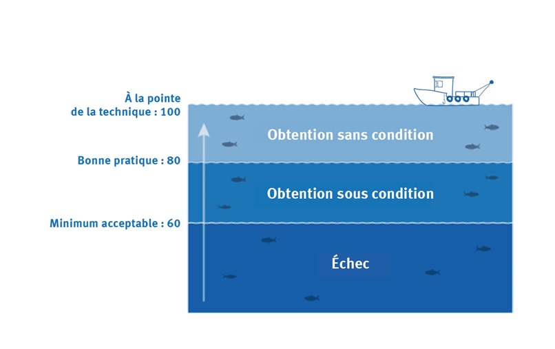 schéma d'obtention de la certification MSC Pêche Durable