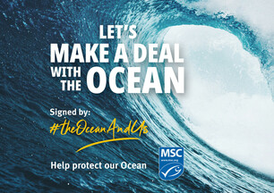 World Oceans Day 2024 | Marine Stewardship Council