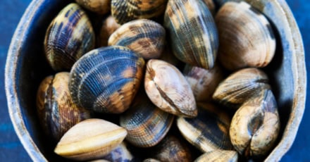 Creamy chickpea soup with clams