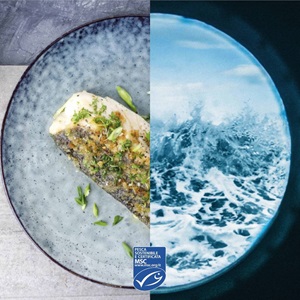 Cosa significa il marchio blu