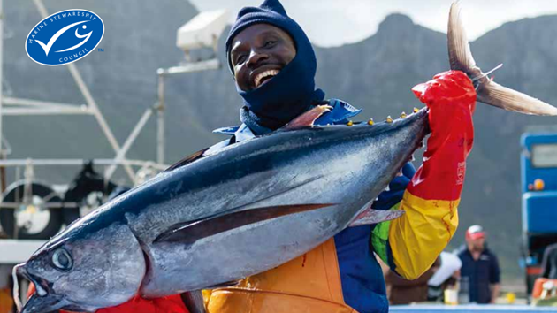 MSC年次報告書 2024年度